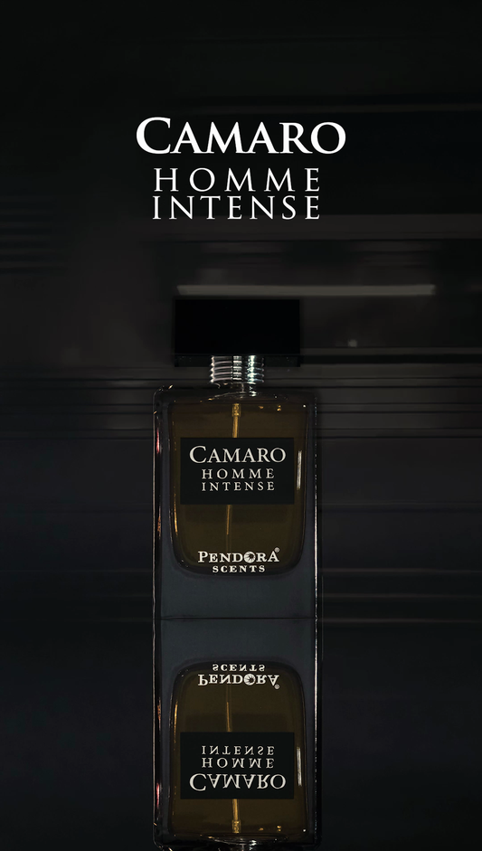 CAMARO HOMME INTENSE 100ml perfume for Men